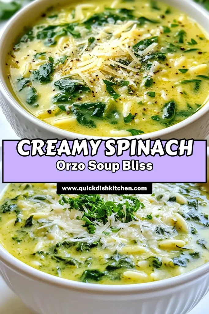 Savor the warmth of this creamy spinach orzo soup, a delightful vegetarian soup recipe that's simple to make! With fresh spinach and tender orzo, this comfort food soup is perfect for any occasion. Whether you’re looking for easy orzo recipes or a comforting bowl to enjoy, this creamy spinach orzo soup will hit the spot. Try it today and bring a touch of coziness to your table! Save this recipe for later! #SpinachSoupRecipe #ComfortFood #EasyOrzoRecipes #VegetarianSoupRecipe